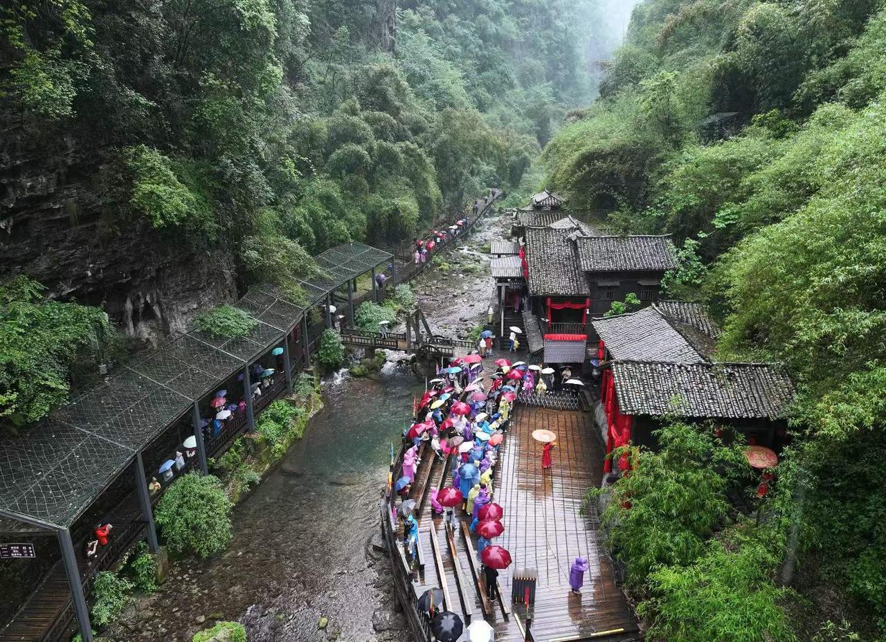 【雨中即景】雨中的世界依然闪耀着生命的光泽，都在诉说着柔韧与希望……图文原创：