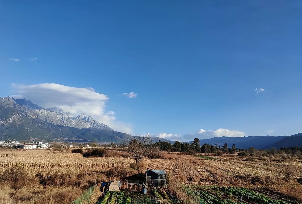 到了一定年龄，积累了一定阅历后才发现，勤劳致富还真是个伪命题，绝大多数的勤劳并不