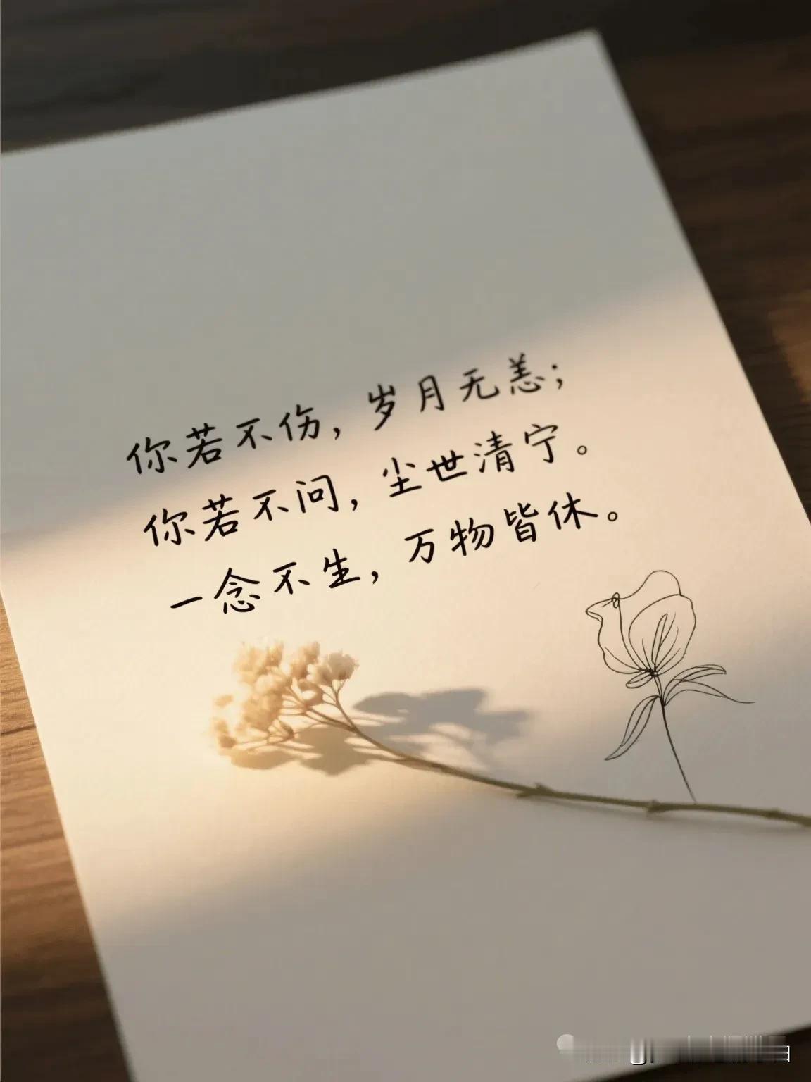成年人的顶级清醒：不争、不慌、不解释”
