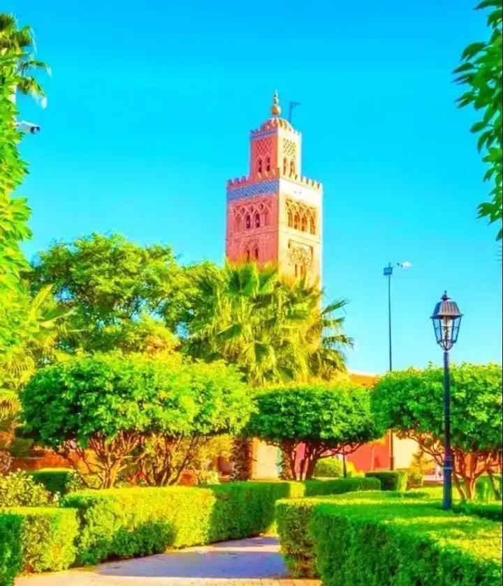 0分出线战，非洲杯最冷剧本来了苏丹前锋两场只射正两脚，布基纳法索却提前锁定