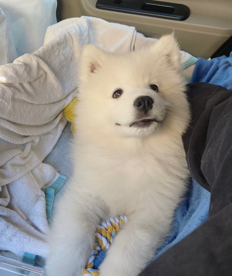 妈妈，你可以再讲一遍你接我回家那天的故事吗？