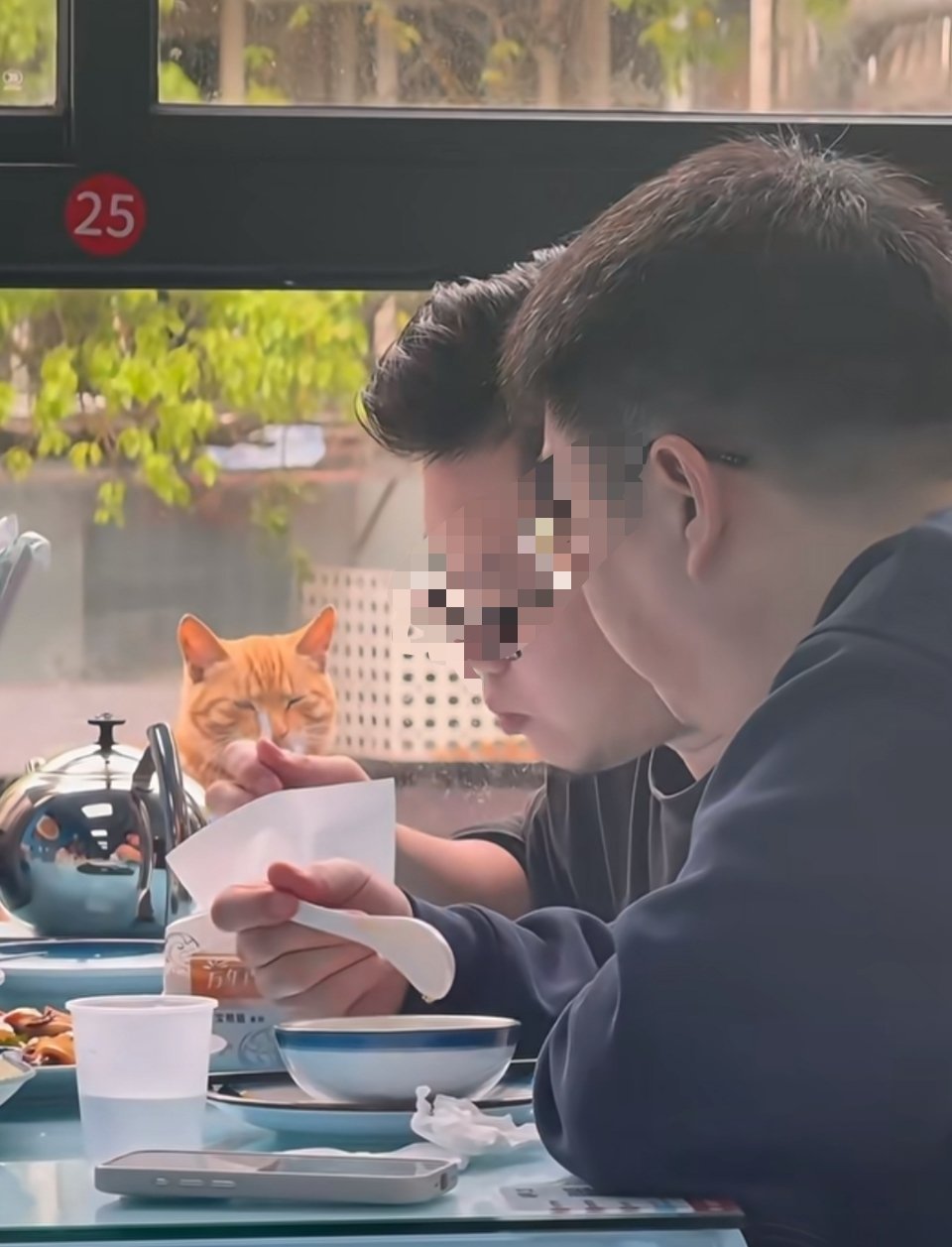 萌宠窗外的猫：你俩太无视我了……