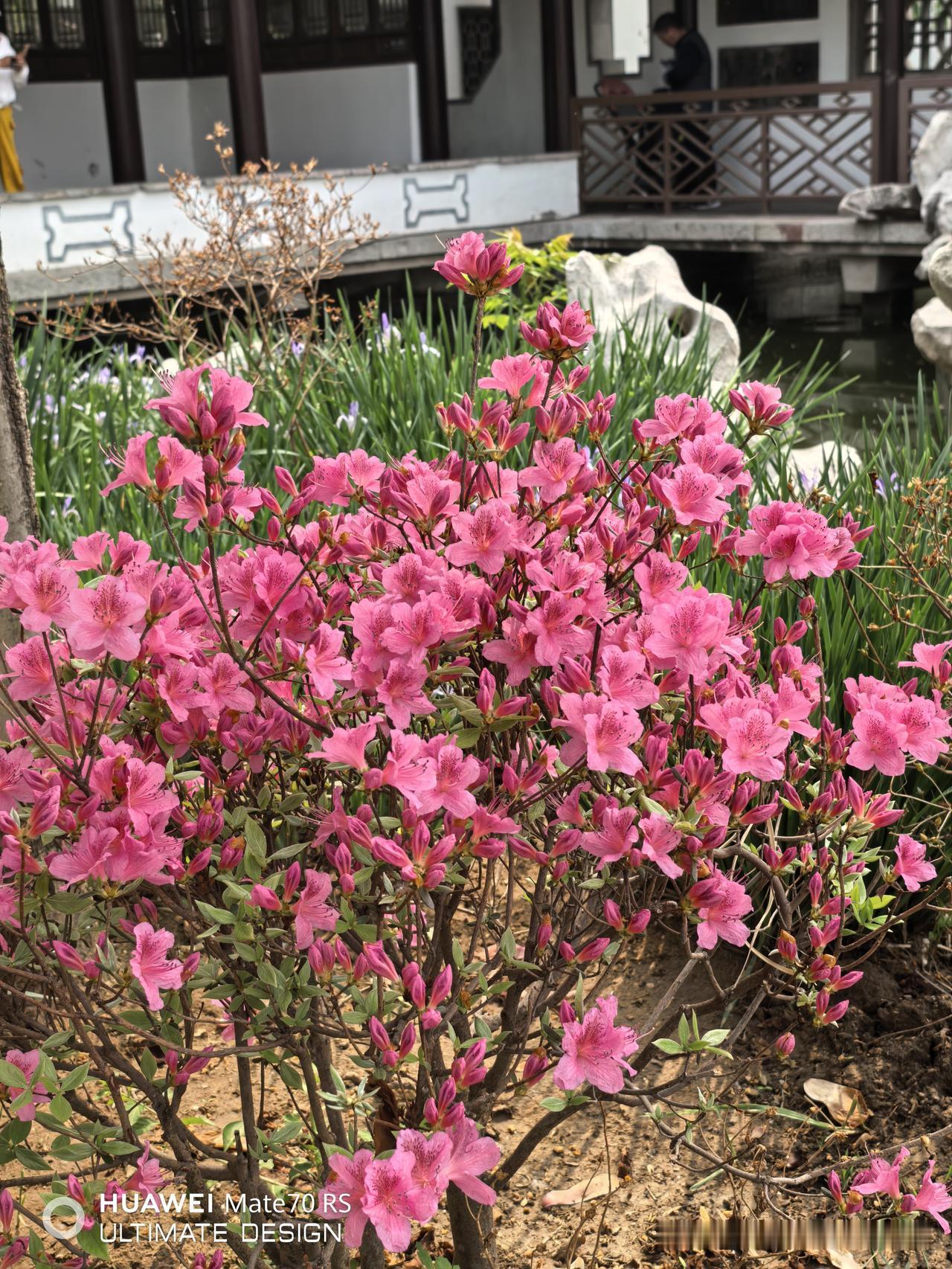 最赚钱的十家化学制药股股息率排名1.丽珠集团，股息率3.37%，目前每股32