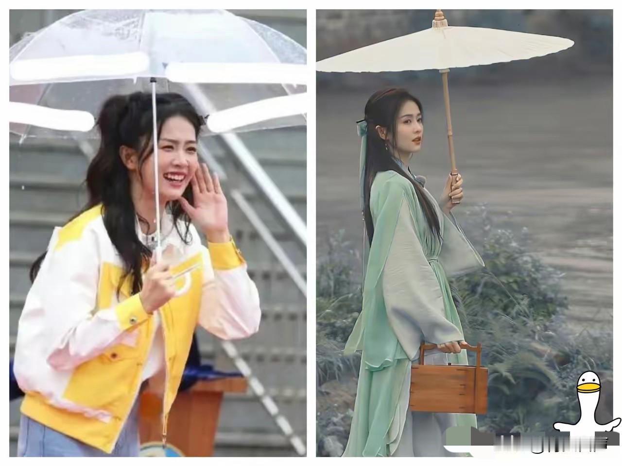 李晨在《奔跑吧》待了11年，录制了100多期。29岁的白鹿在节目里，当着一群人的