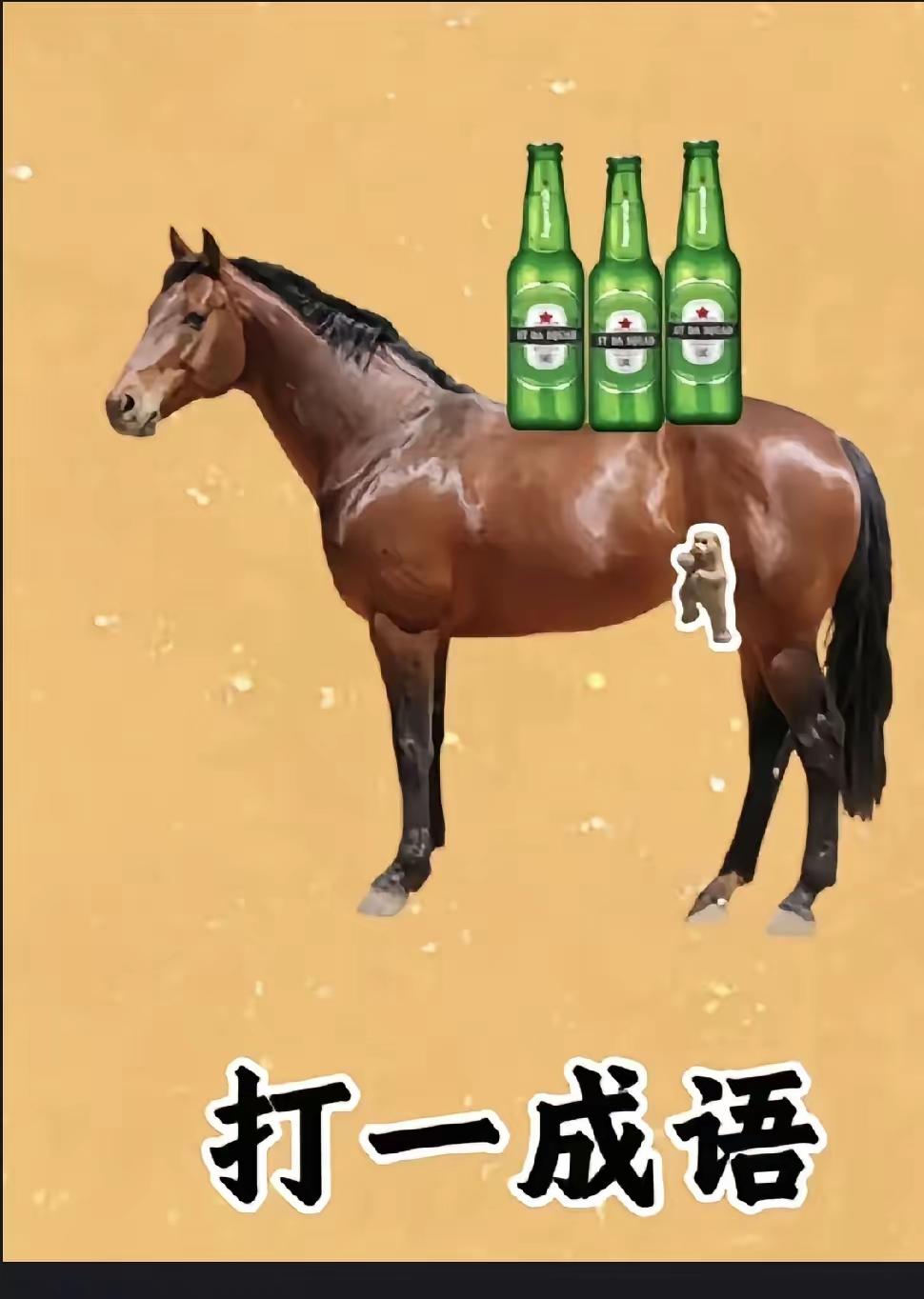 打一成语，据说全网不超过百分之一的高手知道答案，难度系数五颗星，各位才子佳人知道