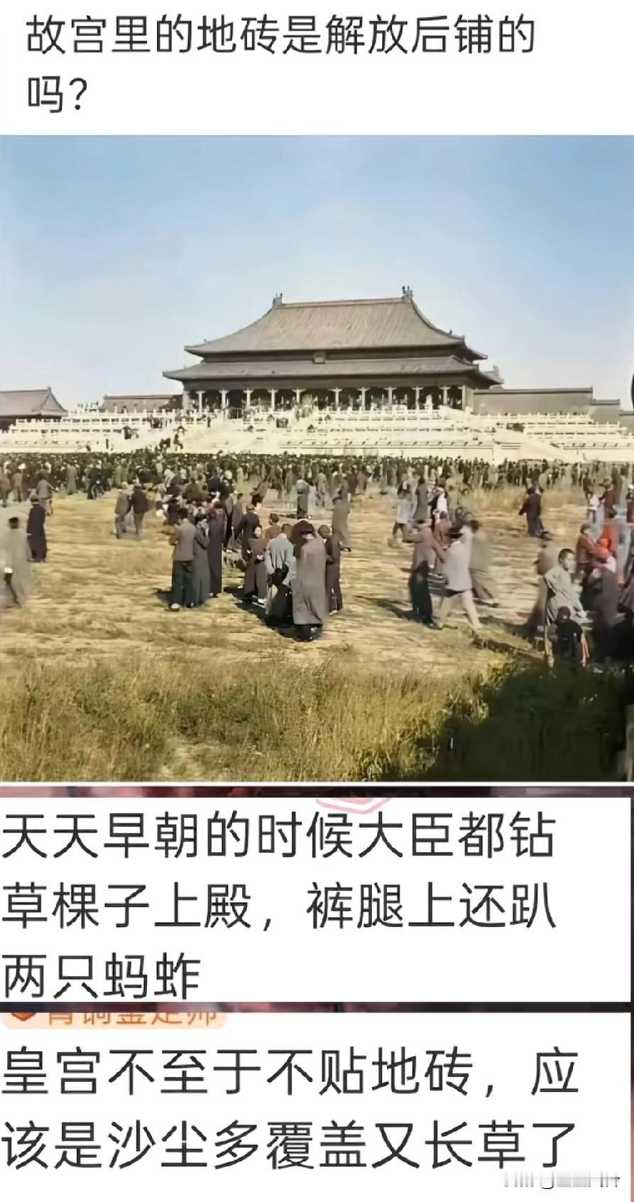故宫里的地砖是解放后铺的吗?天天早朝的时候大臣都钻草垛子上殿，裤腿上还趴两只蚂蚱