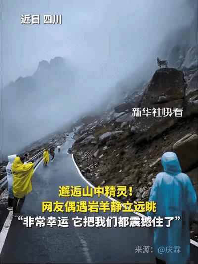 这一幕太震撼，连新华社都忍不住转发了！四川，男子去莲宝叶则旅行，因为大雾只能下