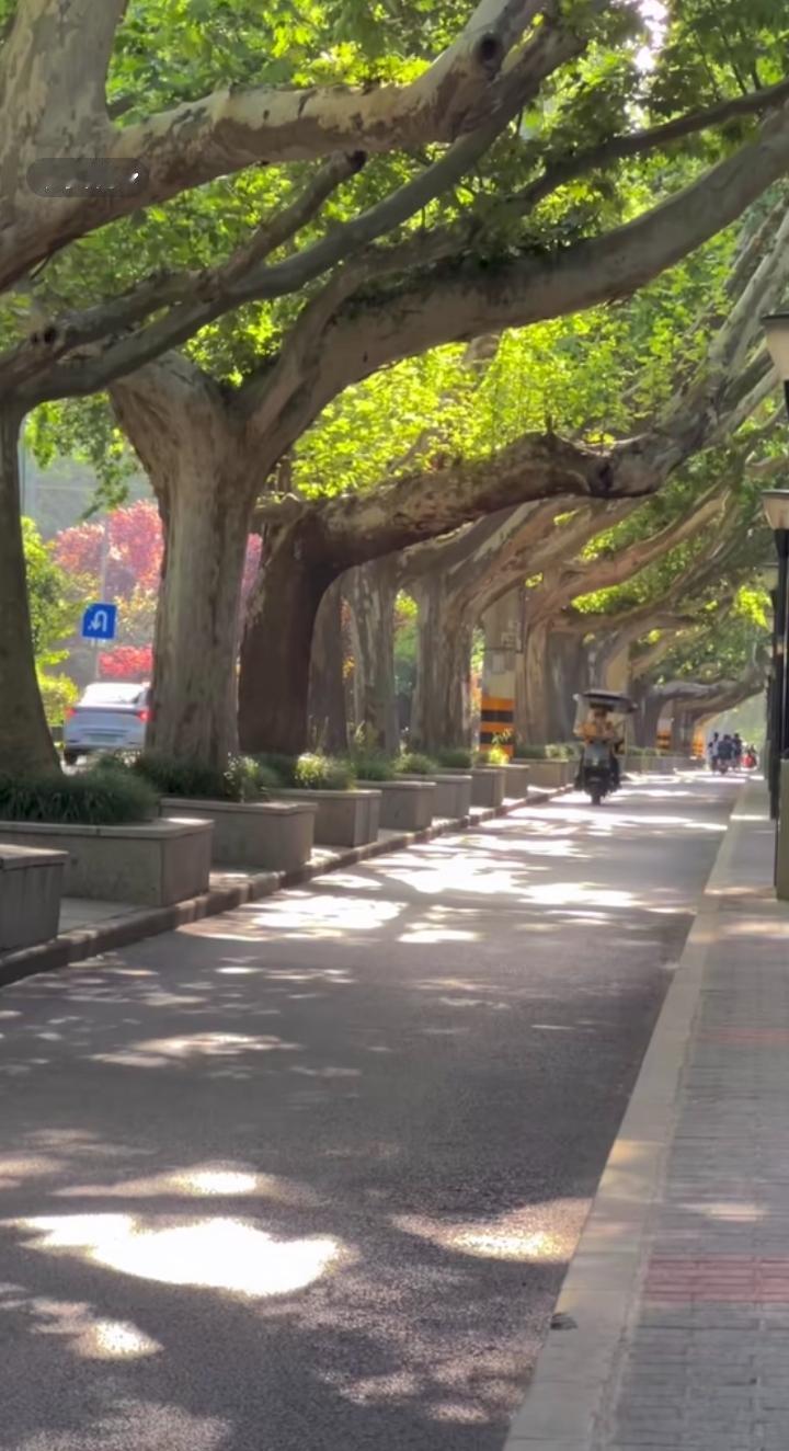 有很多运动已经对我们不适合，只能说弄不好还会有害处，所以要量力而行就是这个意思。