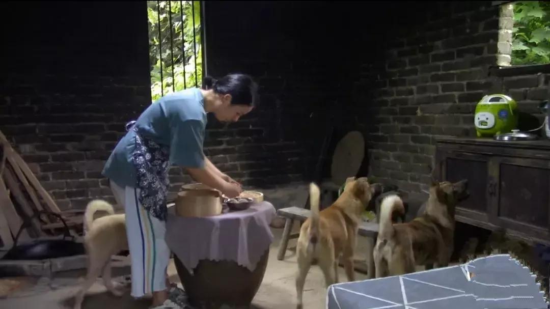 我这辈子，最清醒的决定就是住进了山里。我的人生上半场，唯有童年少年时光值得回