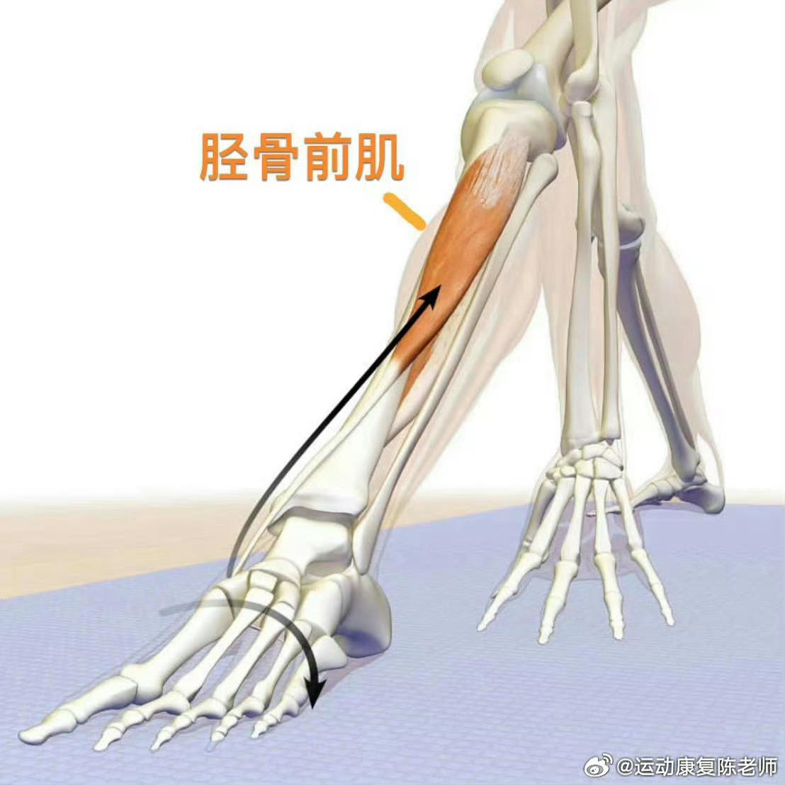 足踝训练我之前讲足弓缩足≠抓脚趾，今天来教大家一个，真的需要“抓脚趾头”的训练
