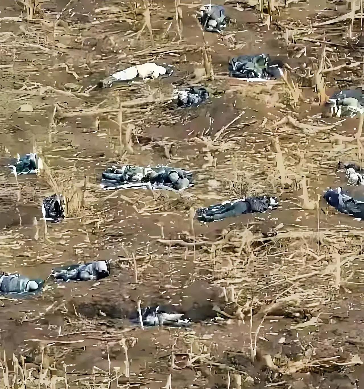 这才是真实俄乌战场的情形、到处都是阵亡士兵的遗体、这些人里面有职业士兵、有工匠、