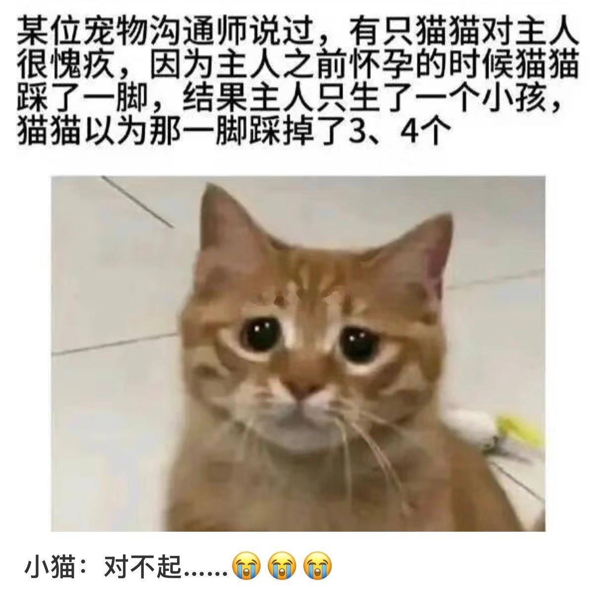 咪这个善良