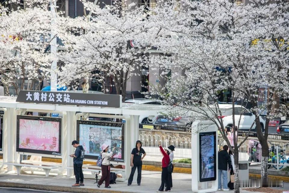 武汉奇招！坐公交竟可抵扣房贷，全国推广要过几道坎？武汉最近搞了个大动作！推出