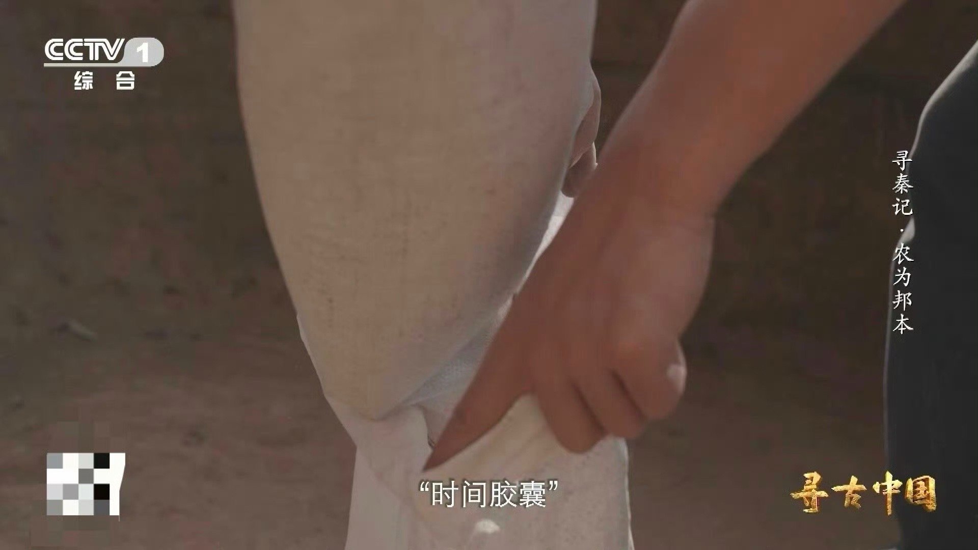 从3升土里淘出秦人食谱2000多年前的垃圾桶谁说考古不浪漫？在魏家崖的千年“灰