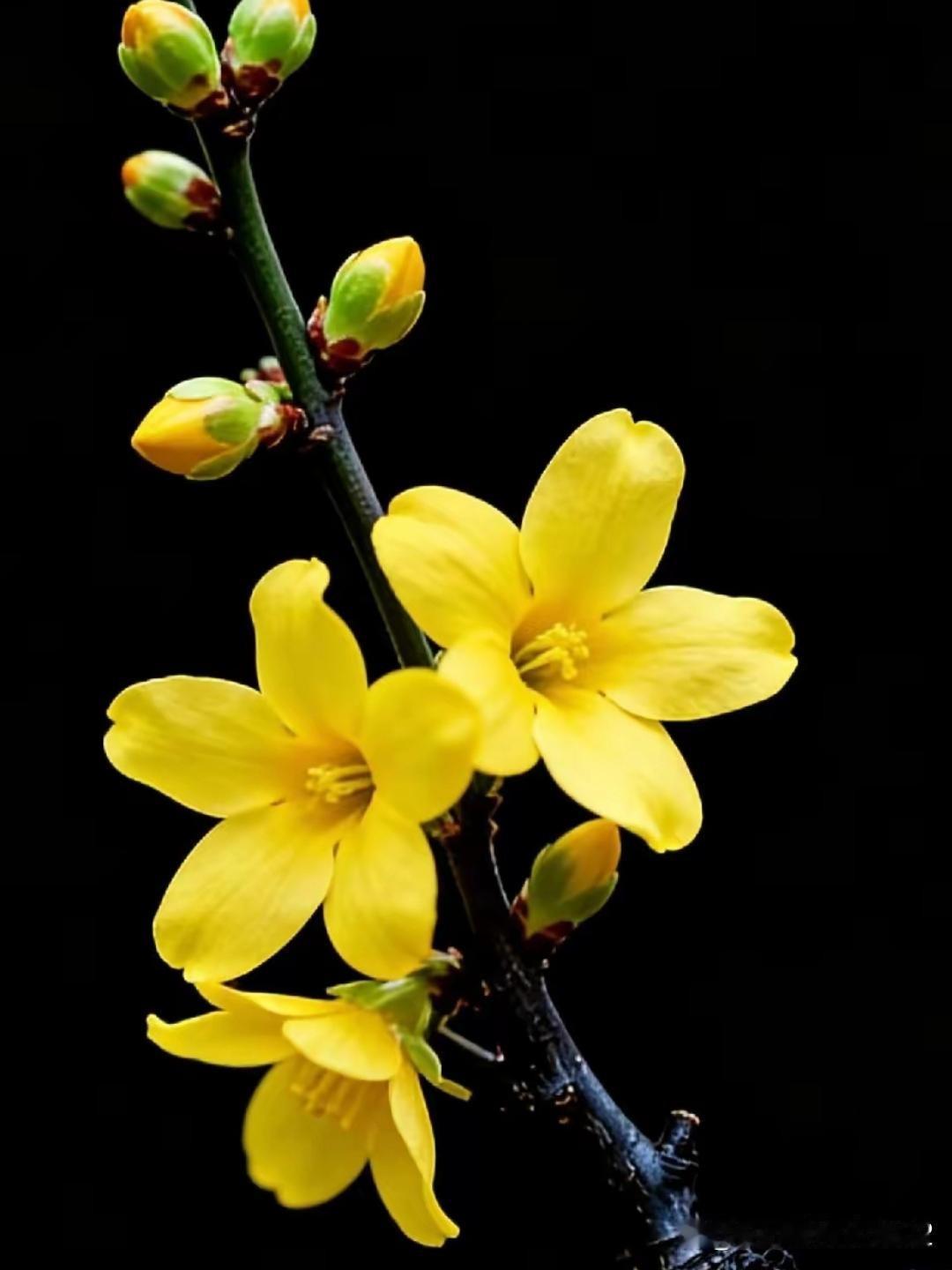 万事万物都只信实在别讲大道理。一位中年网友在社交平台写下这句话。他说听不懂虚头