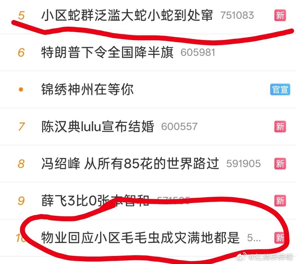 小区蛇群泛滥大蛇小蛇到处窜养鸭养鸡试试[思考][思考]​​​