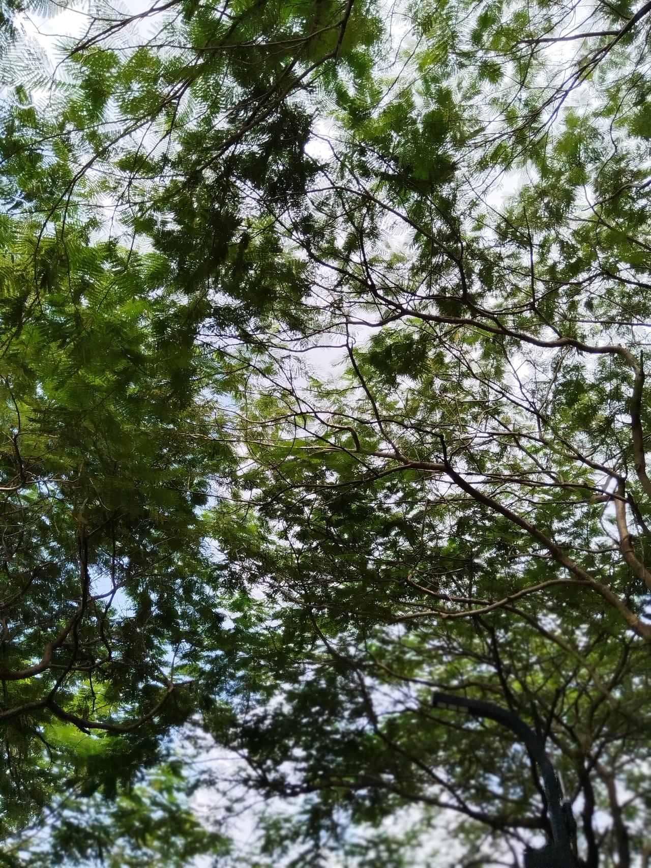 这样有啥用？不过让那些被嫖过的害怕。真搞不懂，艾滋病是什么谁不知道？它的可怕之
