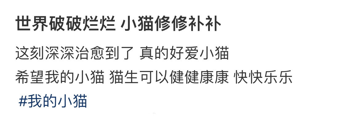 世界破破烂烂小猫修修补补！！！