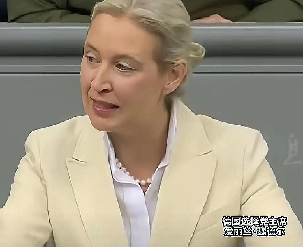 魏德尔在德国议会公开斥责德国总理默茨，“你是个演员，对德国民众说没有钱，转头却要