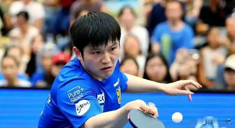 樊振东为何与杜塞尔多夫签了一年短期合同？尹航说的很透彻！首先东哥是国乒现役