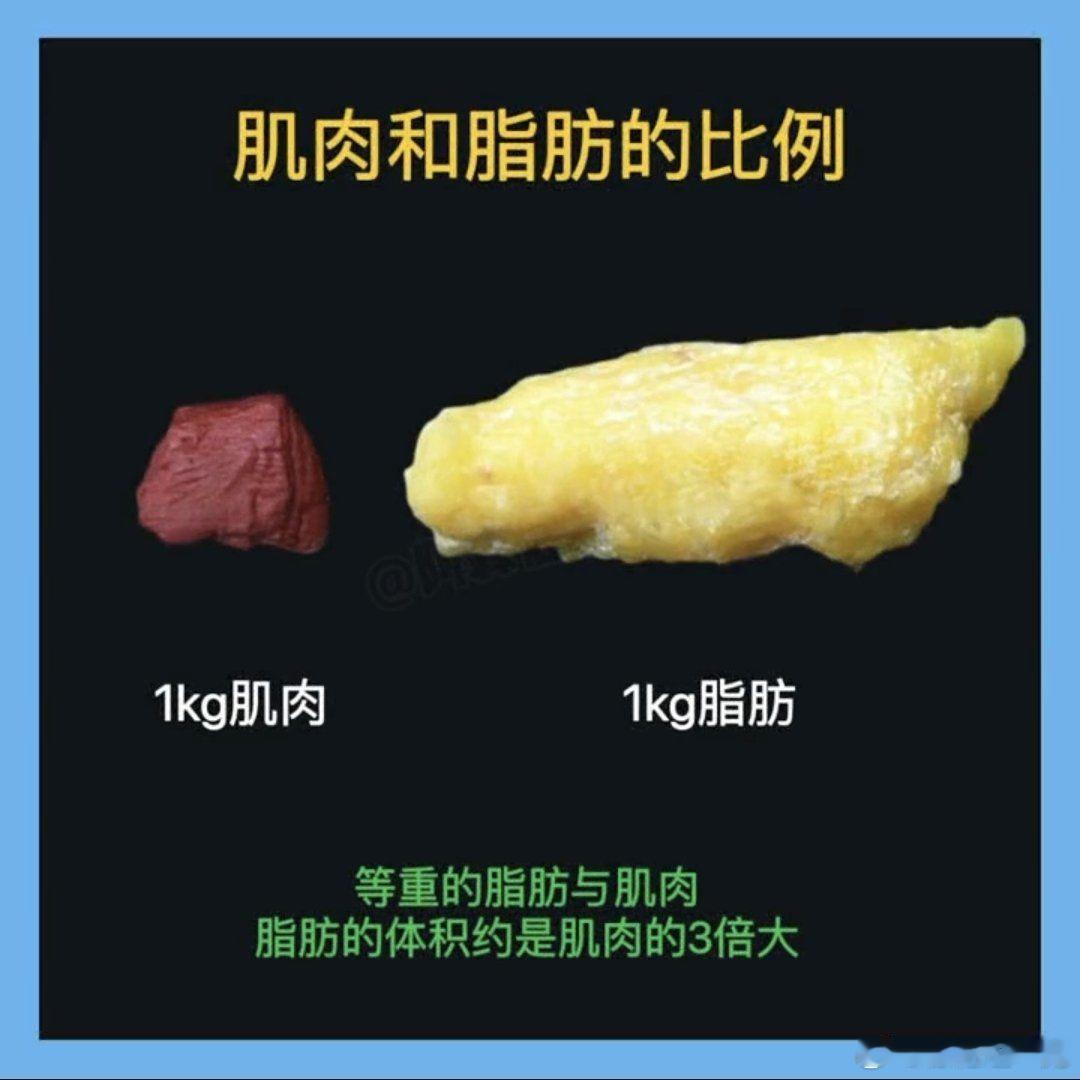 金靖腰围瘦到60cm金靖称减重4斤全是脂肪减掉4斤脂肪，听起来容易，做起来挺
