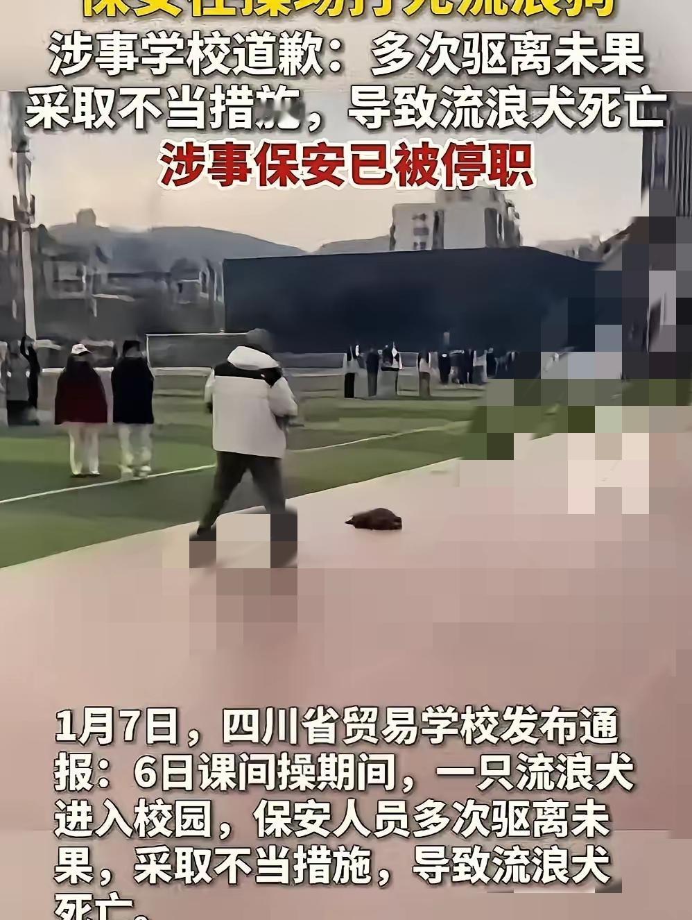保安护学生打狗被停职？这波“各打五十大板”真的合理吗？流浪狗闯入校园，学生