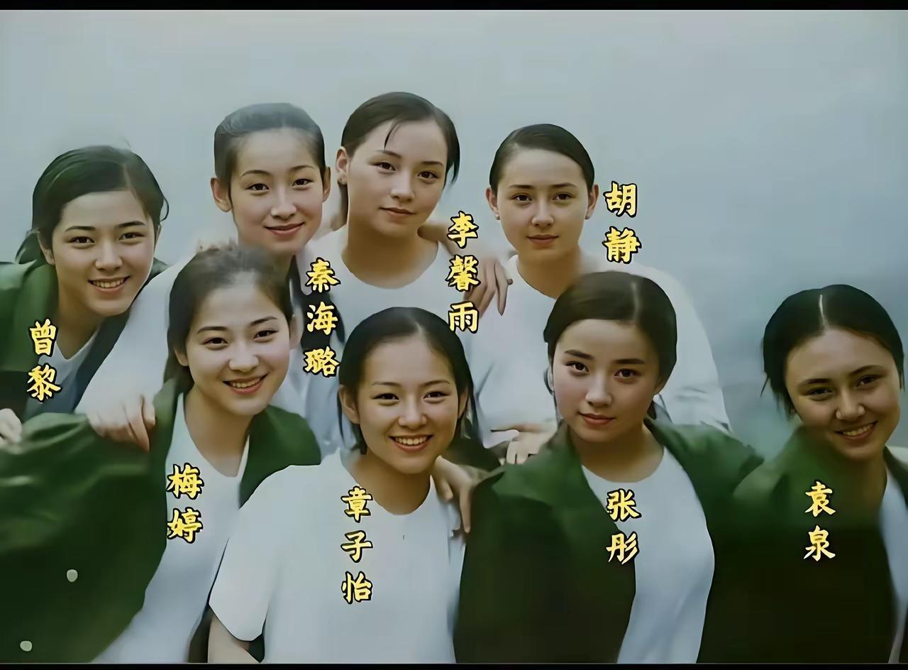 这张是梅婷和章子怡，以及秦海璐等人的合影，都看看吧，她们的脸上都洋溢着青春的笑容