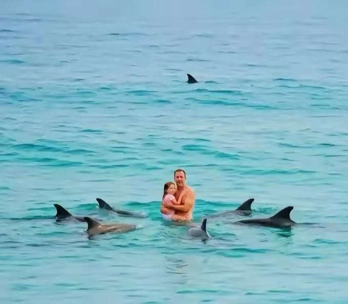 英国游泳者罗布·霍伊带女儿在新西兰北岛外海练水，刚离岸三百米，一条四米长的大白鲨