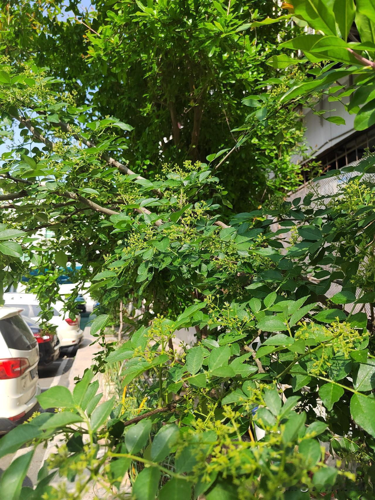 可别那么说，完全不是那回事儿！我感觉是越晚退休，工作时间越长，那退休金才越高呢