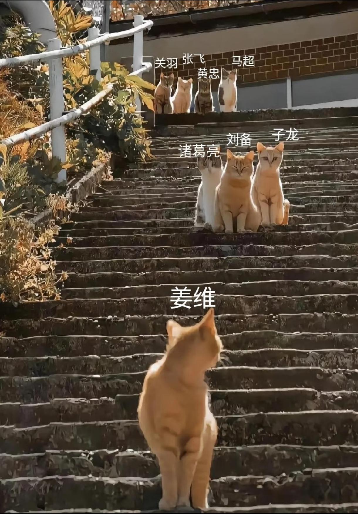 公元263年，邓艾走阴平小道长途奔袭，突破蜀地防线，直接杀到成都近郊。朝堂大乱之