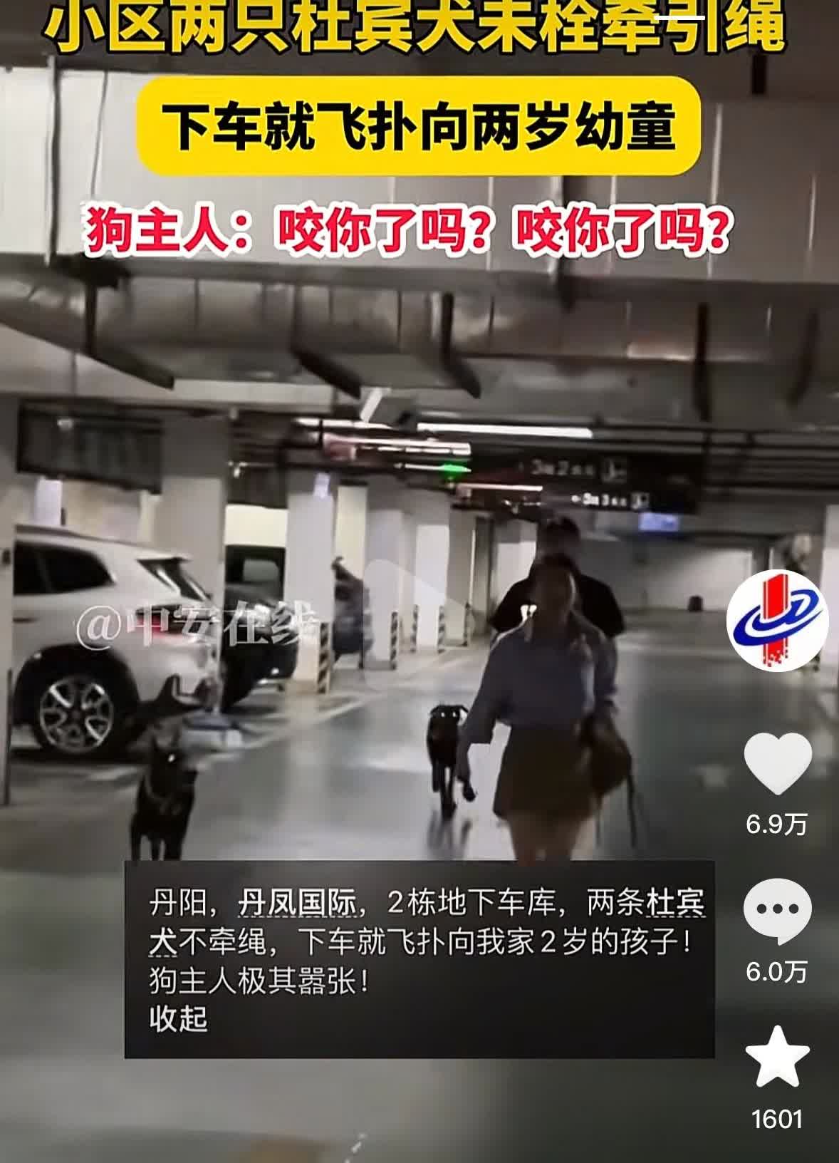 终于见识到了什么叫做“人仗狗势！”7月18日，江苏丹阳市的某小区地下停车场，