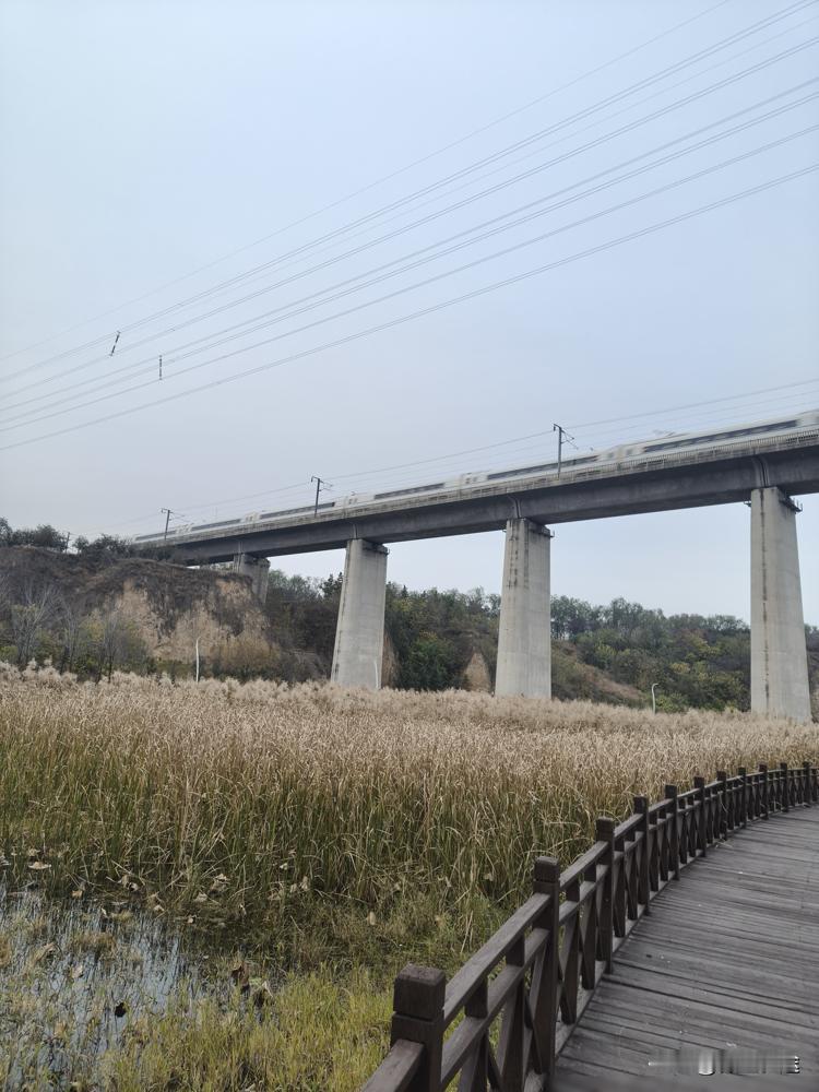 时下，有一个特殊群体就业似乎更难。​这个群体就是女大学毕业生。​身边例子