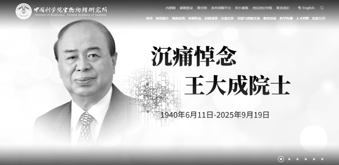 痛悼! 巨星陨落