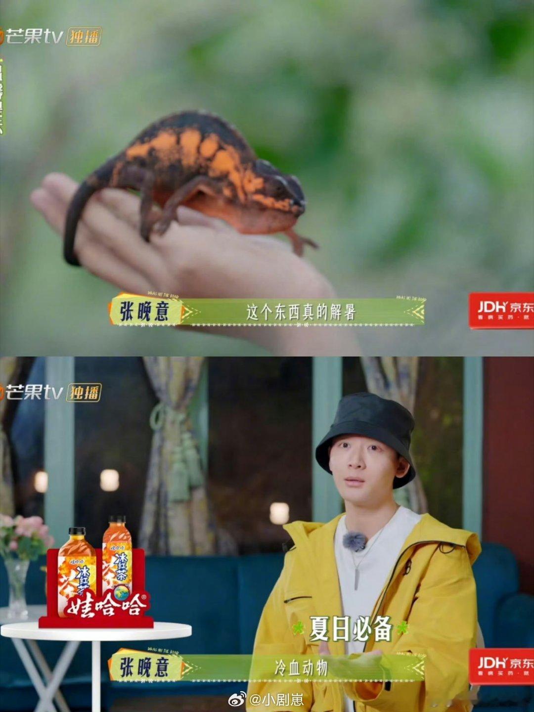 人类对张晚意的开发不足1%张晚意在《花少7》太惊喜了！之前没发现他这么会综艺，看