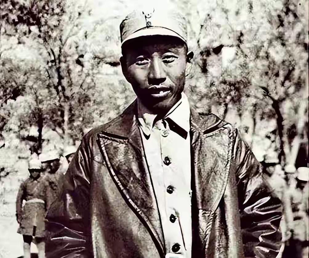 王震只评了上将，贺龙关键一票投给了别人，徐海东的做法让人敬佩1955年9月2