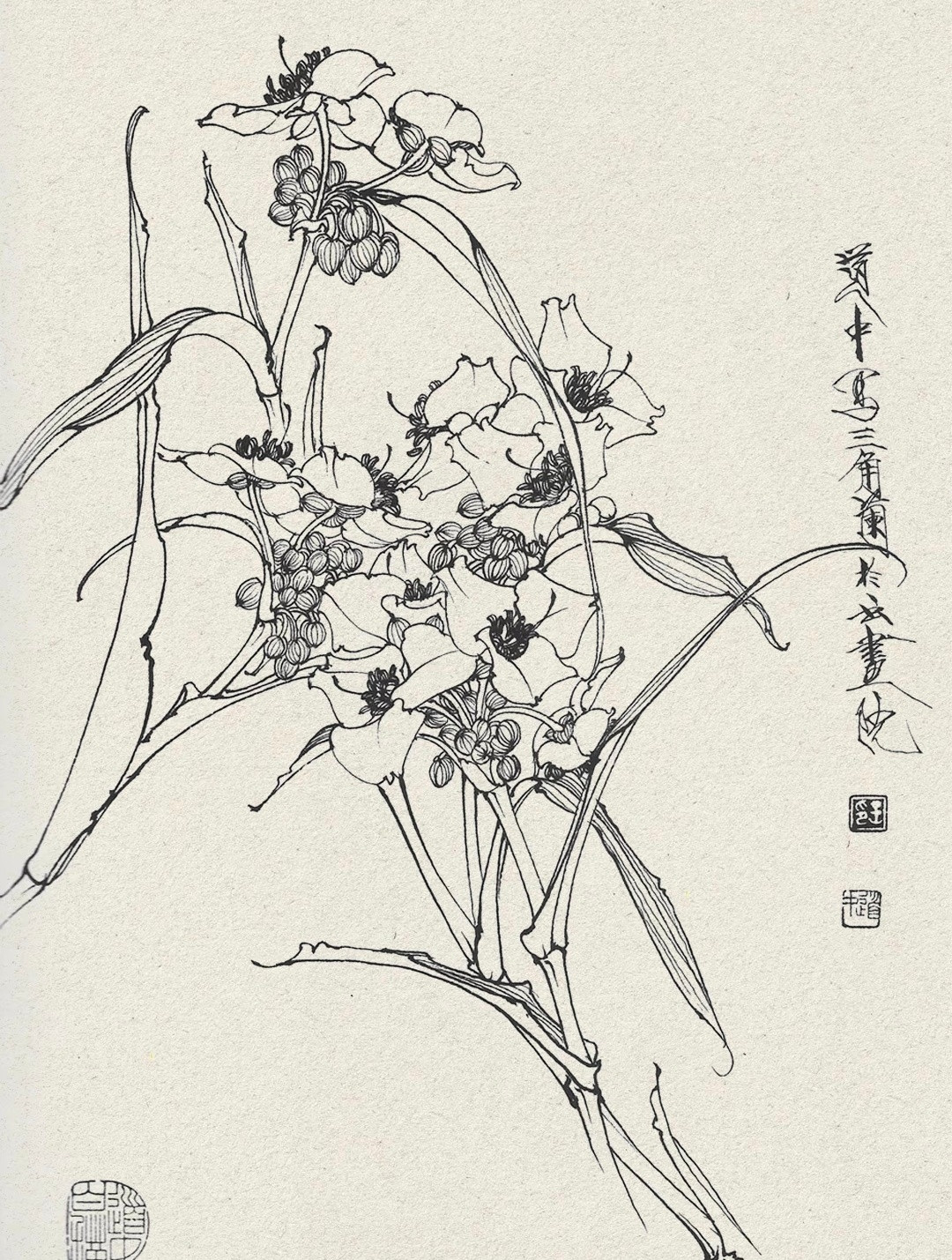 “王道中·工笔白描…​”​​​​