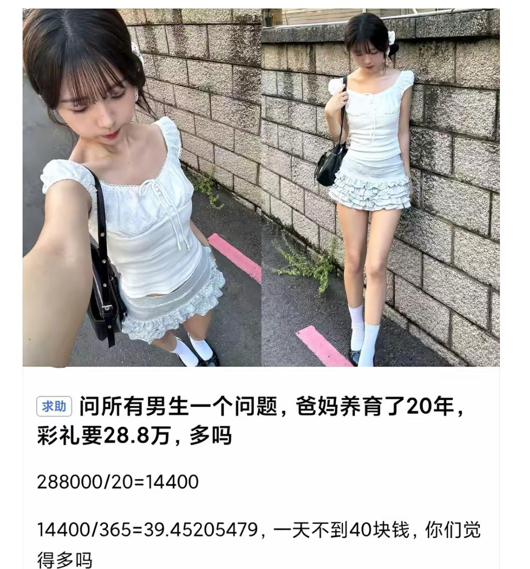 姑娘算了一笔账，彩礼二十八万八。按二十年养育时间平摊下来，一天不到四十块。觉