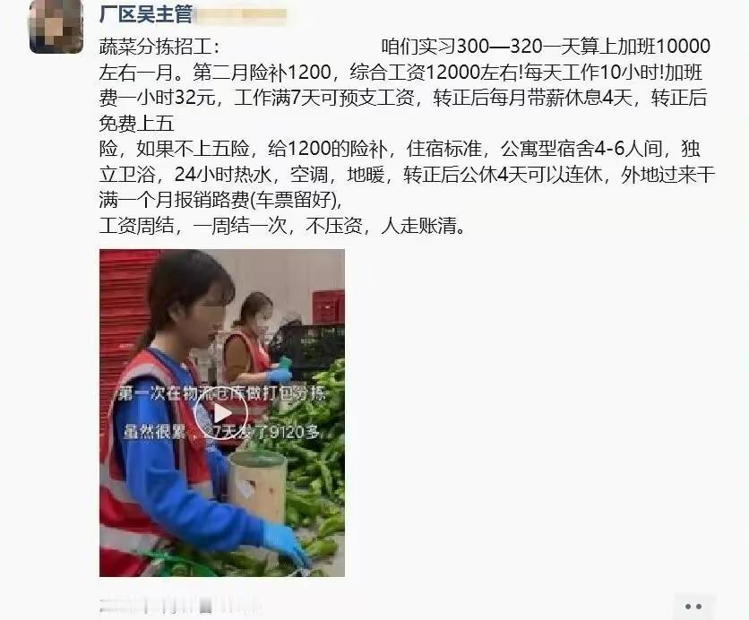 黑劳务中介的高薪招工骗局！拿“月入万元”视频引流，实际层层“收割”求职者。今年