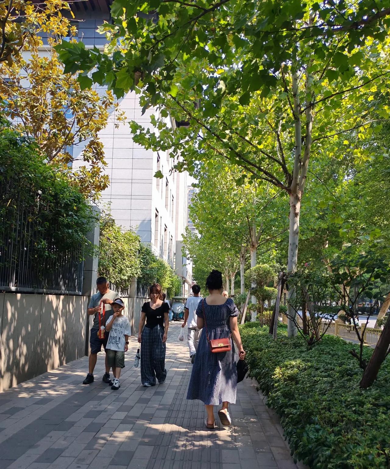 女人不要把毒鸡汤喝太多了。邻居朱阿姨的女儿虹已经两婚两离，老邻居们议论纷纷说她
