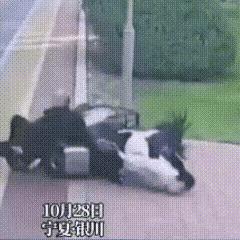 老头横冲直撞，电动车上重重摔倒的年轻人，没戴头盔惨了。