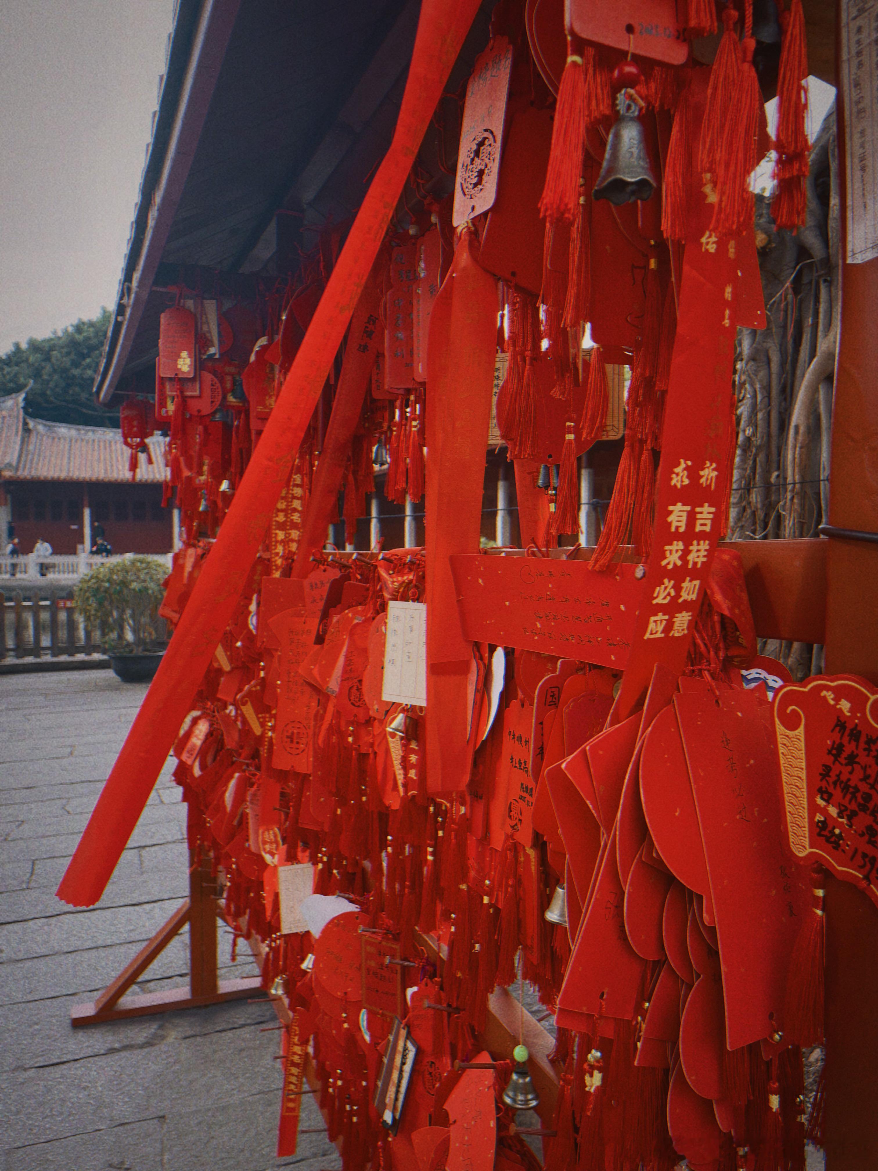 希望2026年也身体健康、平安喜乐度过每一天。希望朋友们也都这样度过每一天。