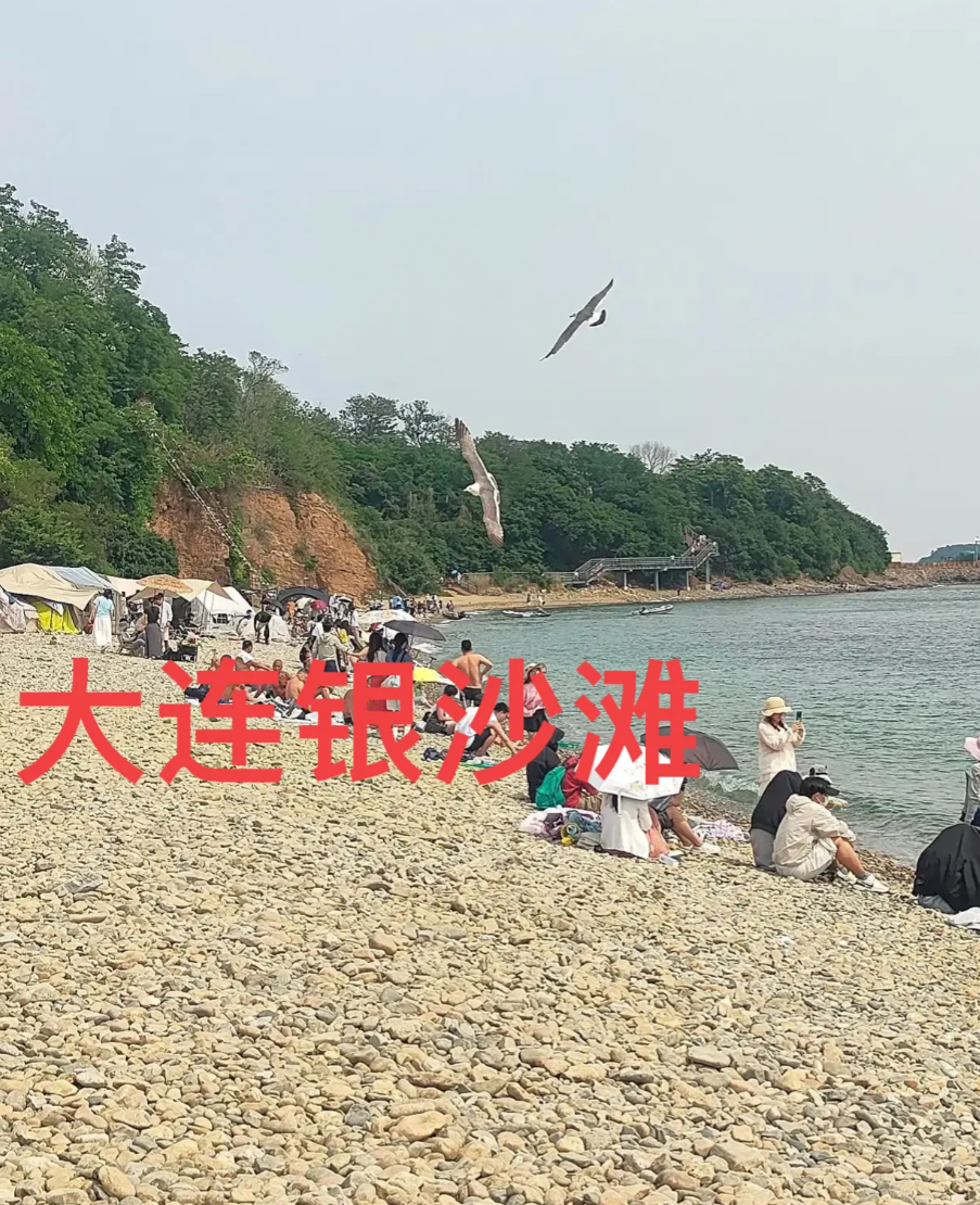 最近大连银沙滩因为违章建筑一事上热搜啦！目前已经处理完毕，施工方没有取得施工许可