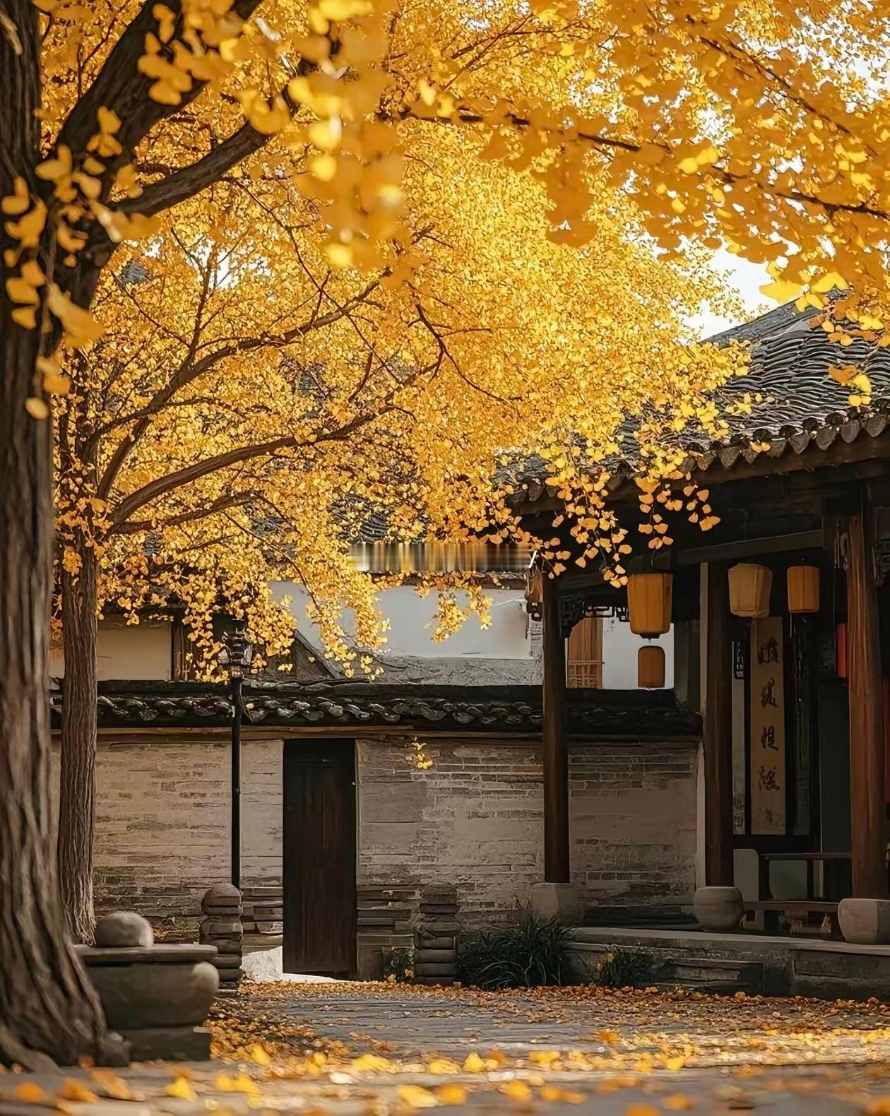 人这一辈子，能占到三样东西，就算活得特别滋润了。第一是有钱，但不用多，够花就行。