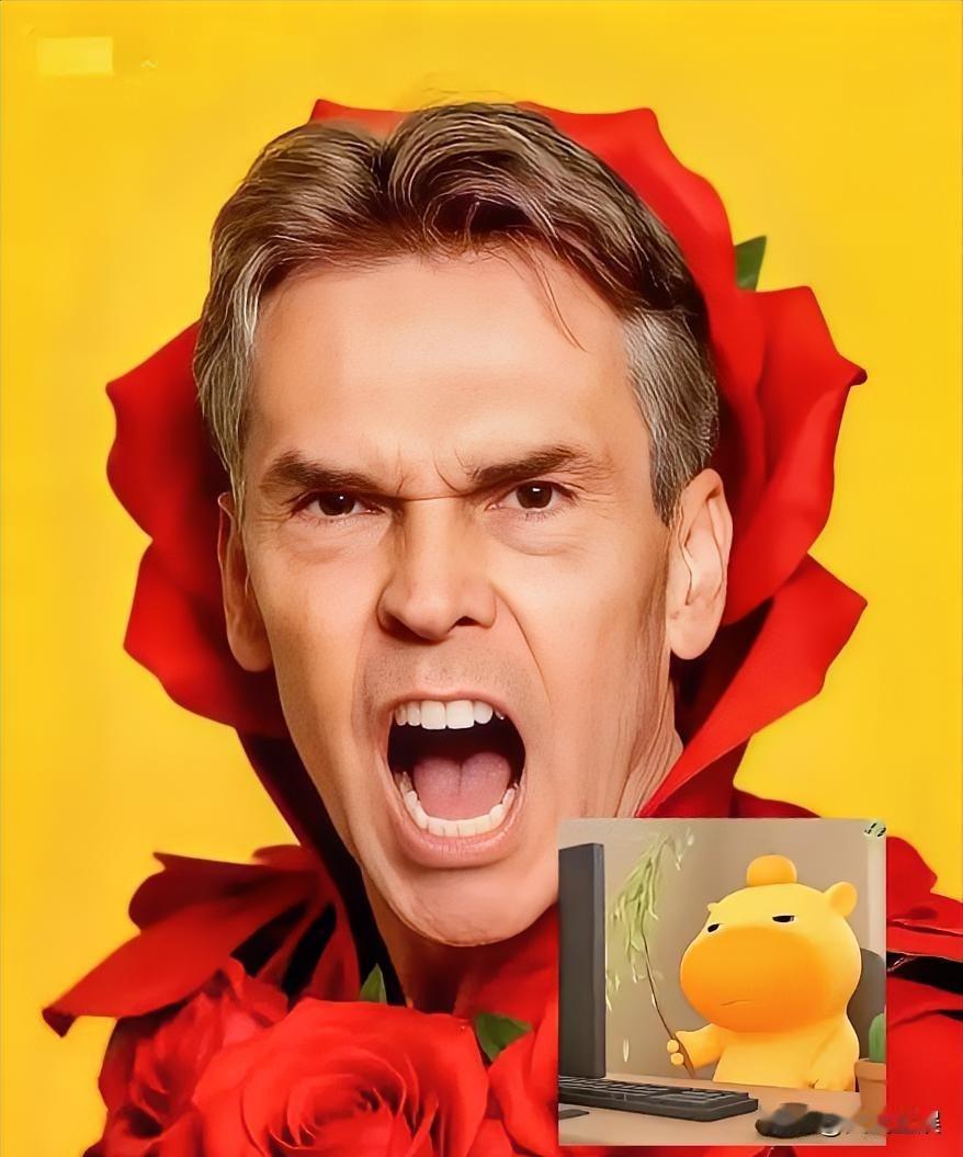 2025年11月7日，荷兰政府发布声明：荷兰经济大臣卡雷曼斯表示，欢迎中方会为安