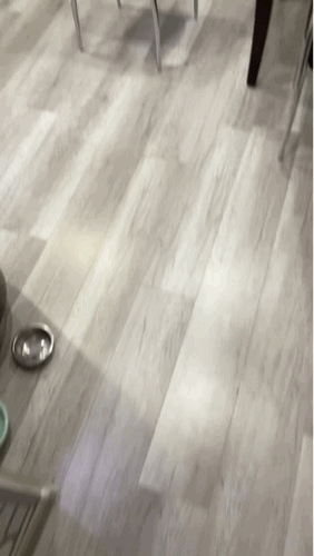 小老外也学会拍这种无聊的段子了