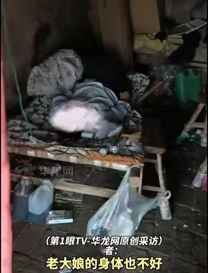 河南，女子开着收割机，给大爷大娘收了麦子，她跟随大爷大娘回家，取收割费，结果她来