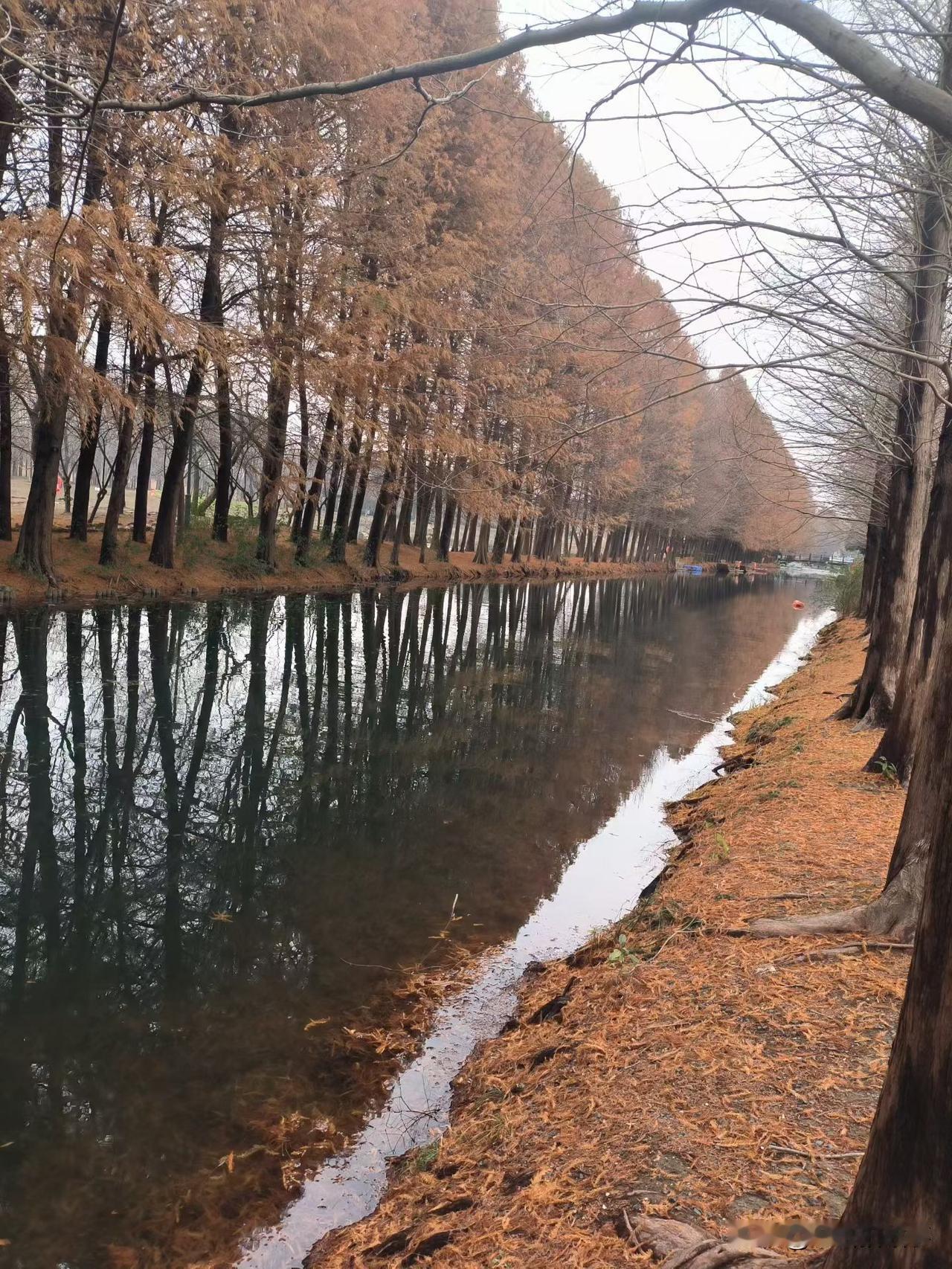 你永远不要低估人性的龌龊，昨天在楼下看到几个老头儿聚在一起闲聊，于是就凑了过去，
