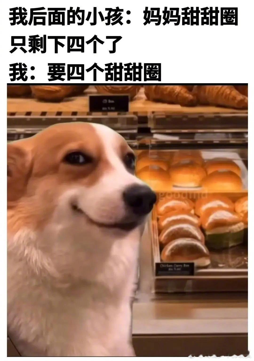 今日份mean言mean语搞笑幽默笑话搞笑抽象​​​