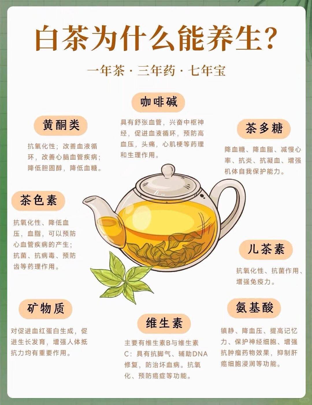 一年茶，三年药，七年宝，白茶为什么可以养生？喝茶养生​​​