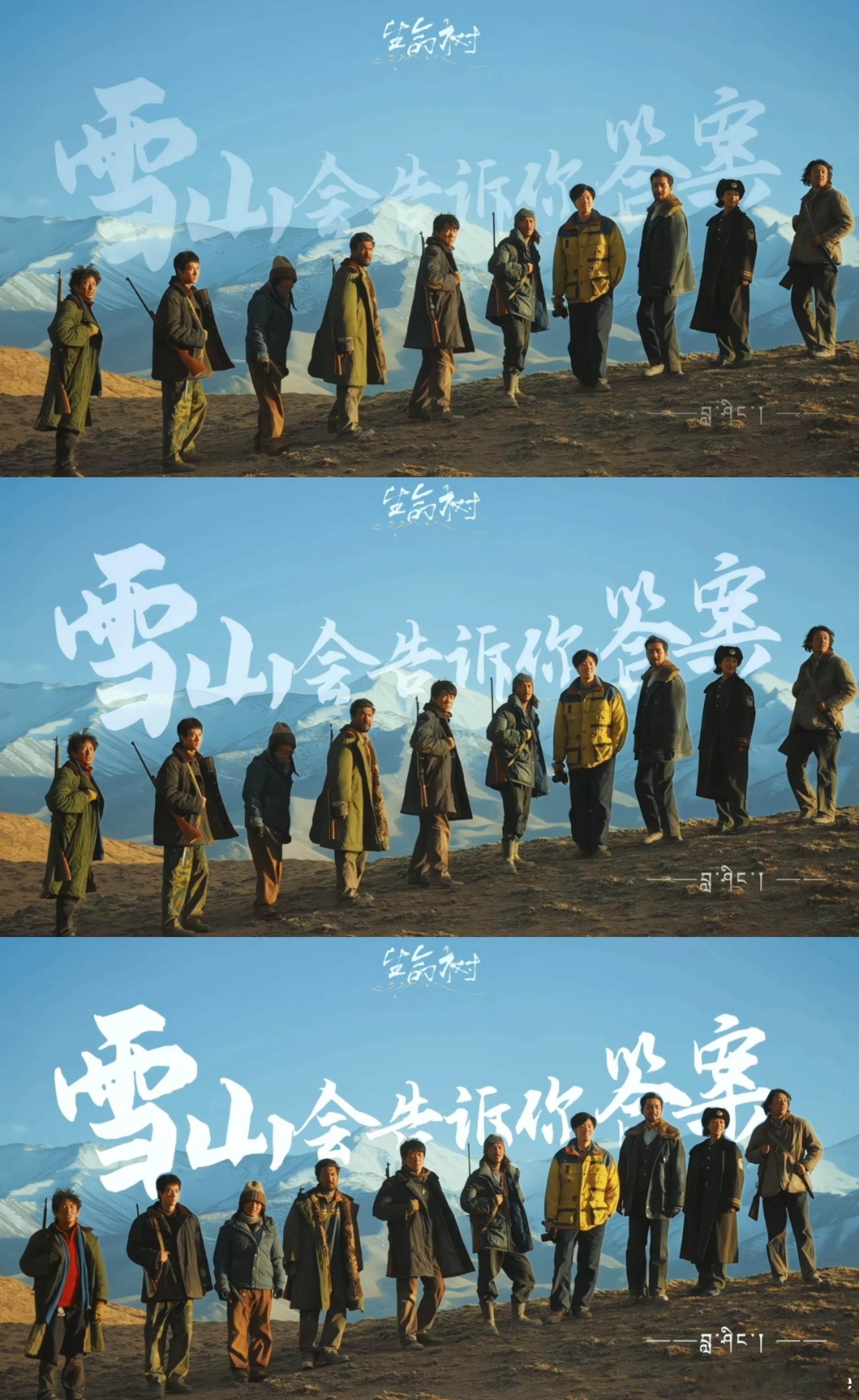 看完了生命树大结局，两个字，震撼，也想写一封信。震撼于叙事的严丝合缝，前期的草蛇